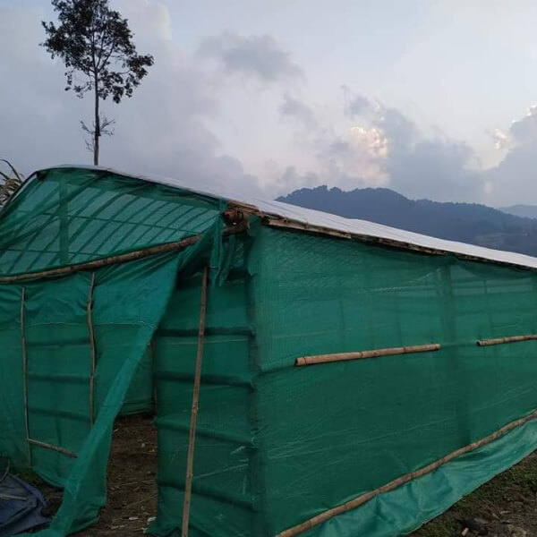 Quality Agriculture Input